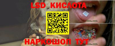 молекула духа Новодвинск